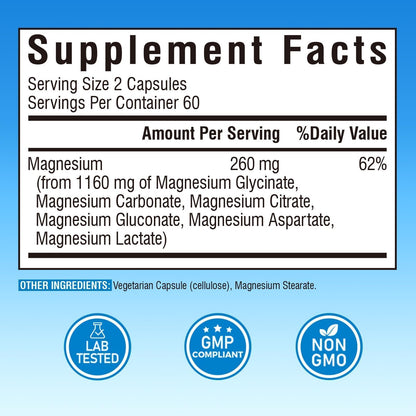 Vitalibre 6 in 1 Magnesium Complex for Women Men, 260mg Elemental Magnesium | Max Absorption | Chelated Magnesium Supplement for Bone, Relaxation & Nerves Support | Non-GMO, 120 Vegan Capsules - dailyvitalstore