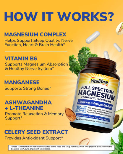 Vitalibre Magnesium Complex Supplement 500mg + Ashwagandha, L-Theanine, Vitamin B6 & Celery, High Absorption Magnesium Glycinate, Citrate, Malate, Sleep & Bone Support, 120 Vegan Capsules - dailyvitalstore