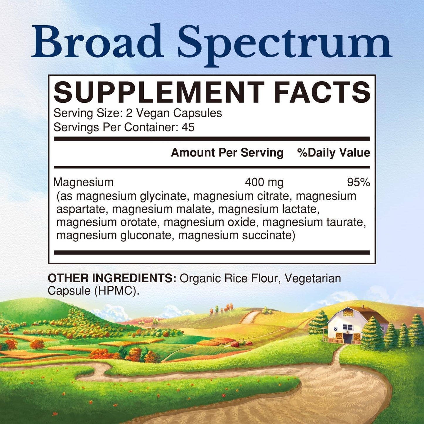 Vitalitown 10 in 1 Magnesium Complex Supplement - 400mg Elemental Magnesium Chelated with Glycinate, Citrate, Malate, Taurate & More - for Sleep Heart Energy - Non-GMO, Vegan, 90 Caps - dailyvitalstore