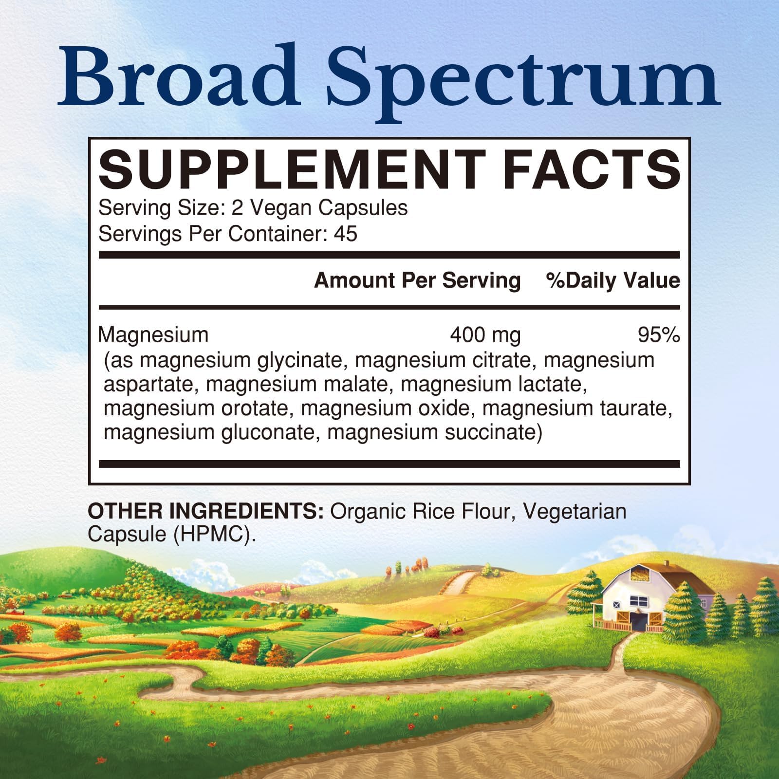 Vitalitown 10 in 1 Magnesium Complex Supplement - 400mg Elemental Magnesium Chelated with Glycinate, Citrate, Malate, Taurate & More - for Sleep Heart Energy - Non-GMO, Vegan, 90 Caps - dailyvitalstore