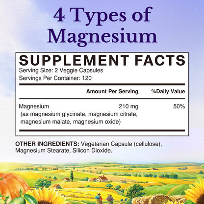 Vitalitown Magnesium Complex | Chelated Easily Absorbed Magnesium Glycinate Citrate Malate | Buffered | 210mg Elemental Mag | Sleep, Nerve, Digestion, Energy | Non-GMO 240 Veg Caps - dailyvitalstore
