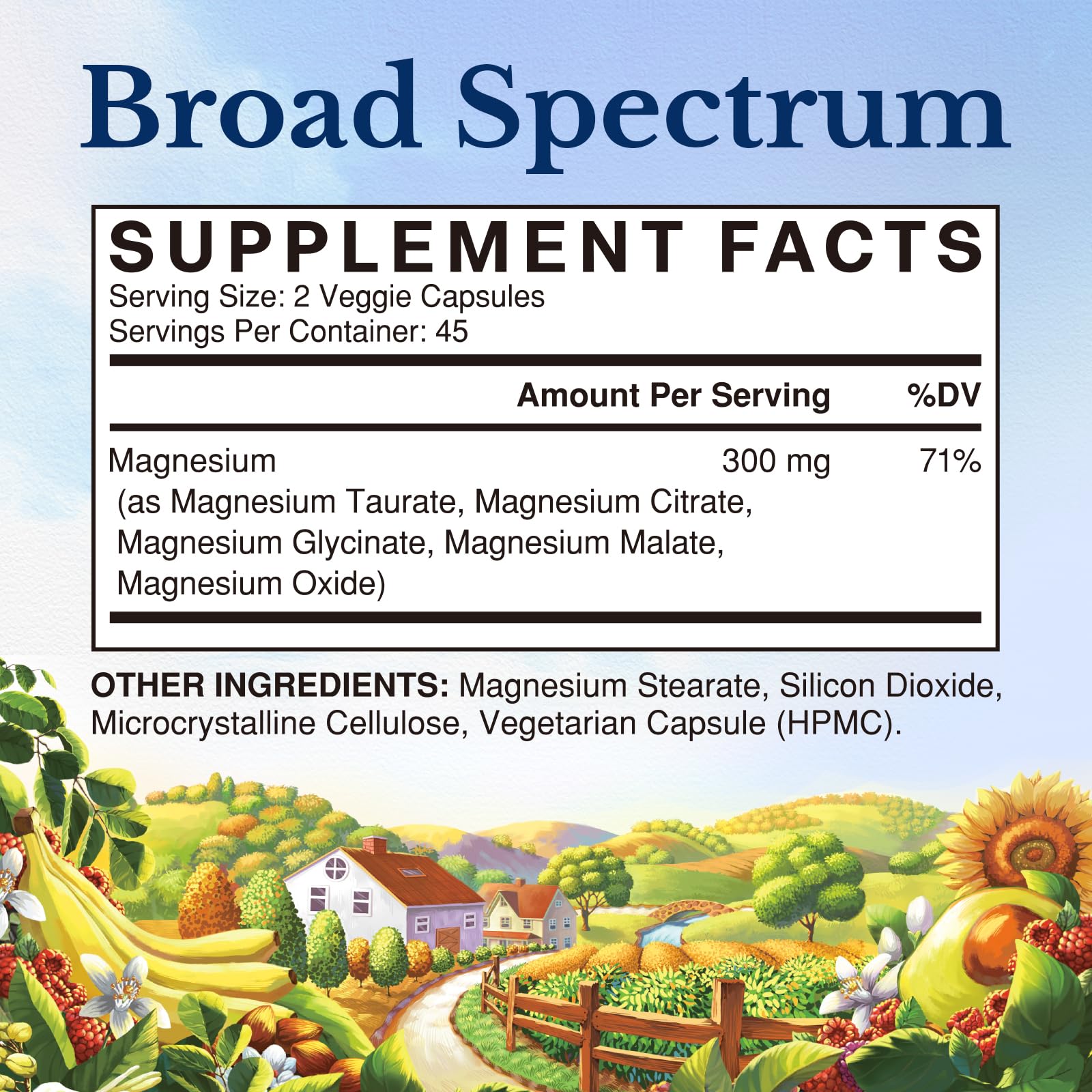 Vitalitown Magnesium Complex Supplement | 300mg Elemental Mag | Magnesium Citrate Glycinate Taurate Malate | Non-GMO, No Gluten, 90 Vegan Magnesio Capsules for Bone Brain Heart - dailyvitalstore
