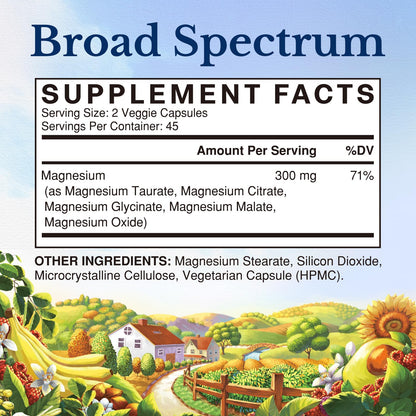 Vitalitown Magnesium Complex Supplement | 300mg Elemental Mag | Magnesium Citrate Glycinate Taurate Malate | Non-GMO, No Gluten, 90 Vegan Magnesio Capsules for Bone Brain Heart - dailyvitalstore