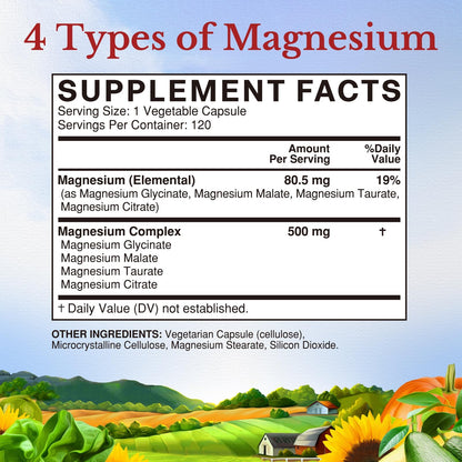 Vitalitown Magnesium Complex Supplement 500mg - NSF Certified Magnesium Glycinate, Malate, Taurate & Citrate - Chelated High Absorption & Gentle on Stomach - Vegan Non-GMO 120 Capsules - dailyvitalstore