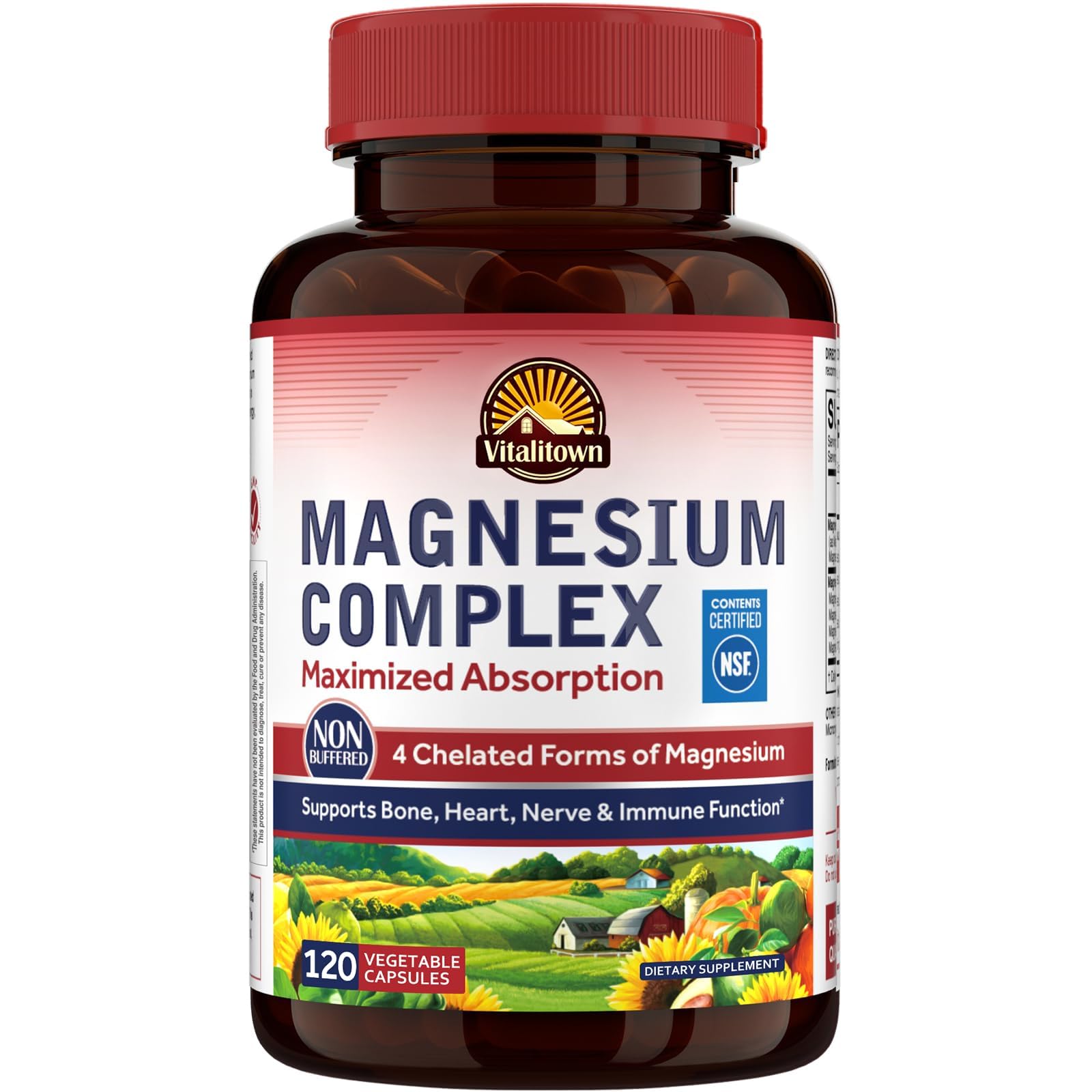 Vitalitown Magnesium Complex Supplement 500mg - NSF Certified Magnesium Glycinate, Malate, Taurate & Citrate - Chelated High Absorption & Gentle on Stomach - Vegan Non-GMO 120 Capsules - dailyvitalstore