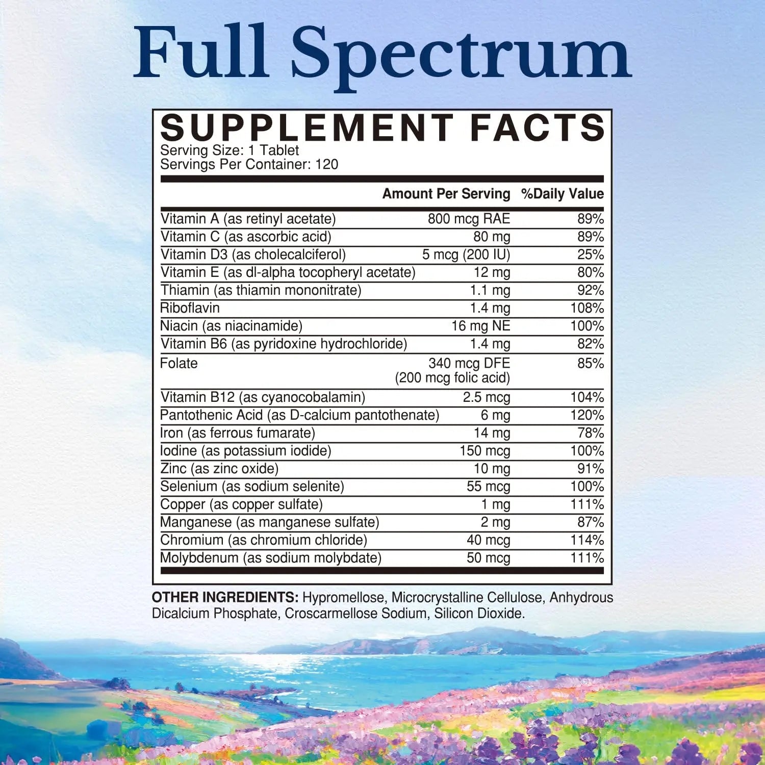 Vitalitown Multivitamin for Women & Men, with Iron, Zinc, Vitamin D3, A, C, B, E, 19 Key Nutrients, One Per Day - dailyvitalstore