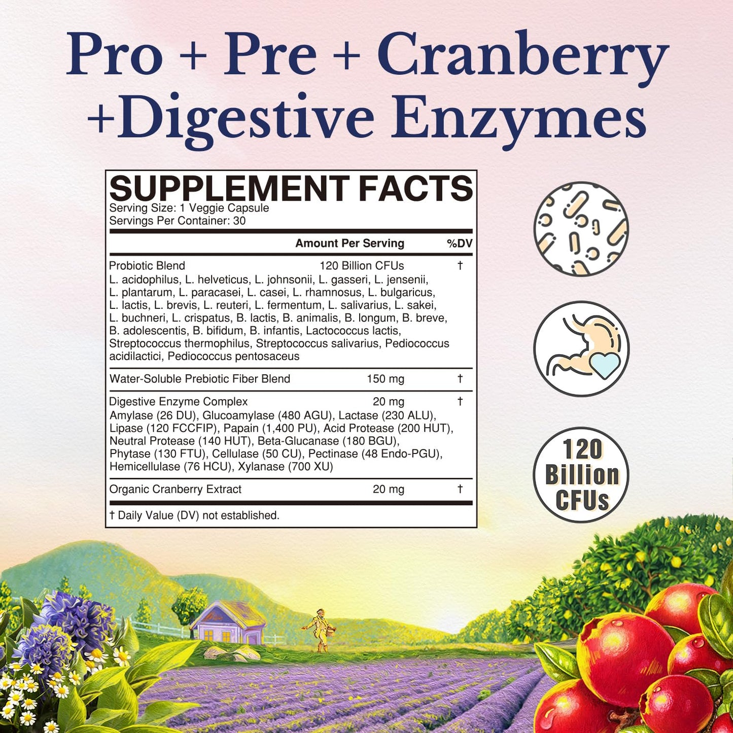 Vitalitown Probiotics for Women 120 Billion CFUs, 30 Strains, with Prebiotics & Digestive Enzymes & Cranberry, Gut & Vaginal Health, Vegan 30 - dailyvitalstore
