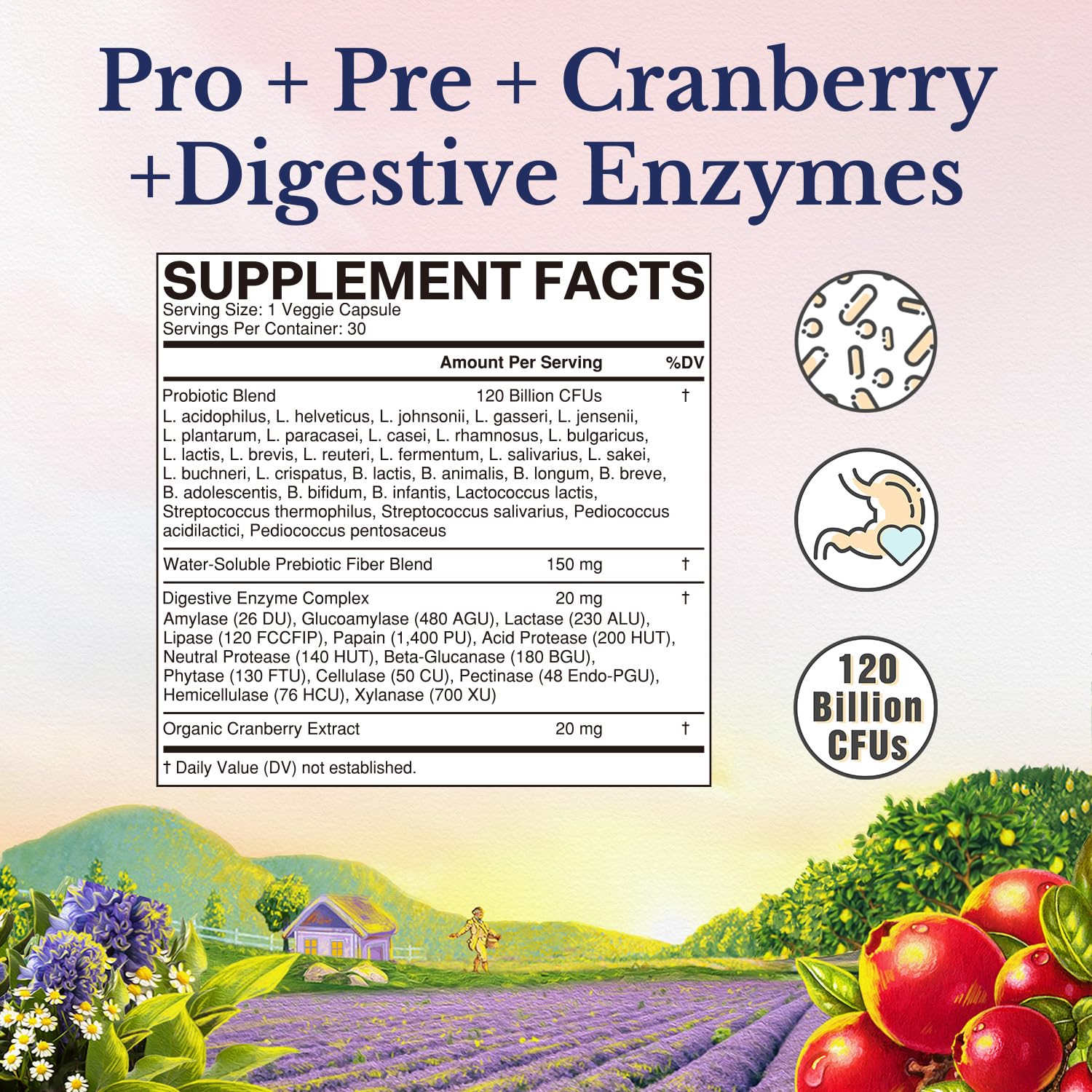 Vitalitown Probiotics for Women 120 Billion CFUs, 30 Strains, with Prebiotics & Digestive Enzymes & Cranberry, Gut & Vaginal Health, Vegan 30 - dailyvitalstore