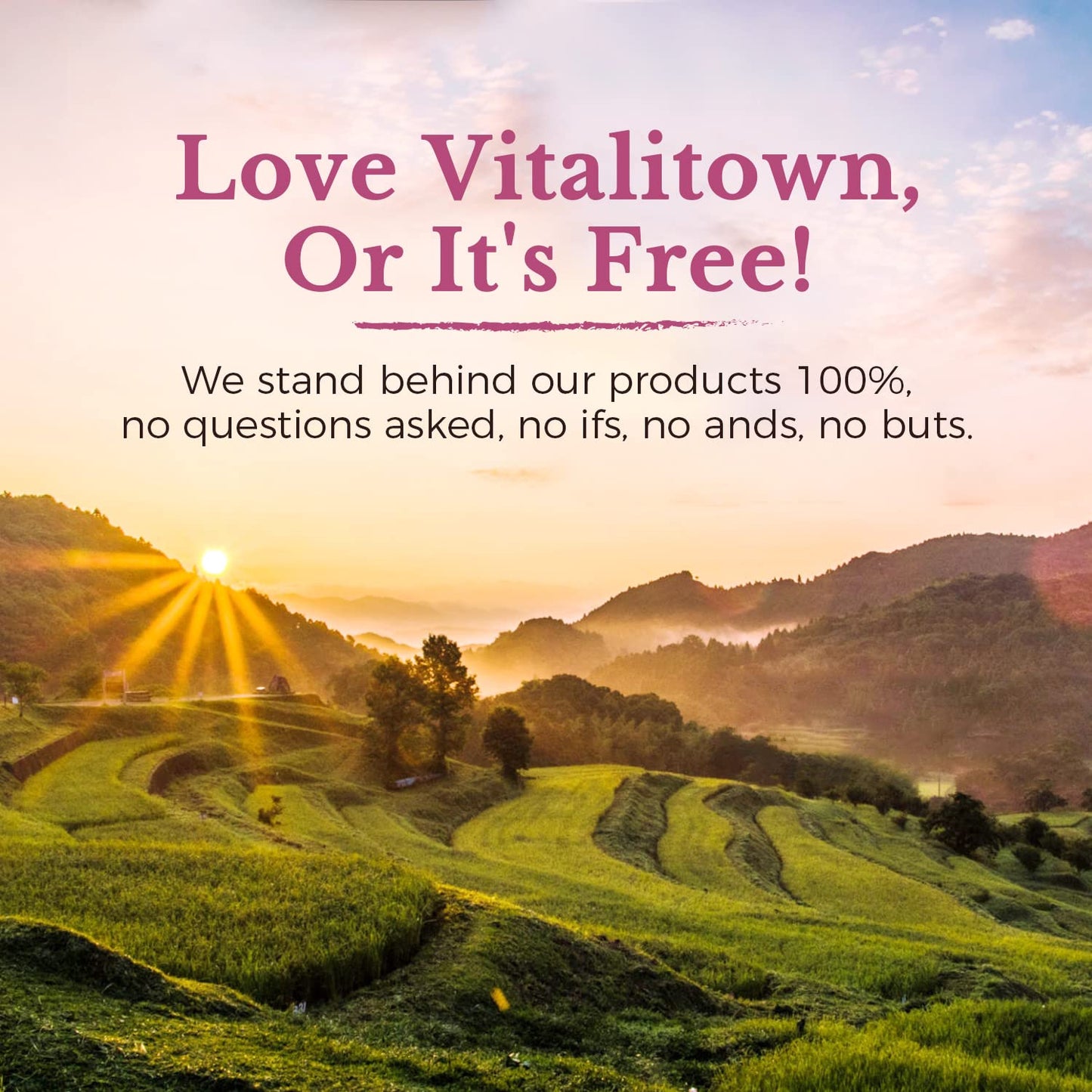 Vitalitown Probiotics for Women 120 Billion CFUs, 30 Strains, with Prebiotics & Digestive Enzymes & Cranberry, Gut & Vaginal Health, Vegan 30 - dailyvitalstore