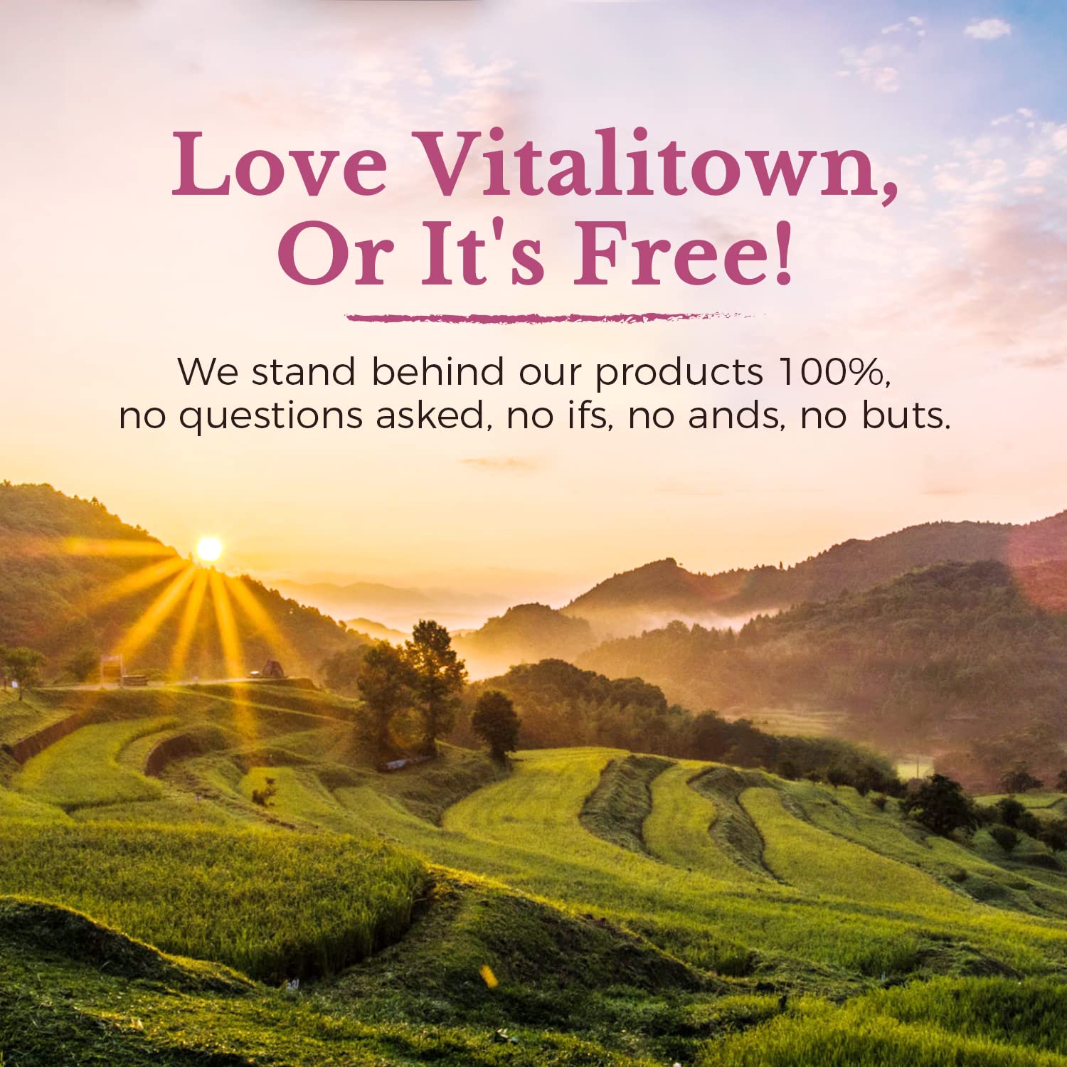 Vitalitown Probiotics for Women 120 Billion CFUs, 30 Strains, with Prebiotics & Digestive Enzymes & Cranberry, Gut & Vaginal Health, Vegan 30 - dailyvitalstore