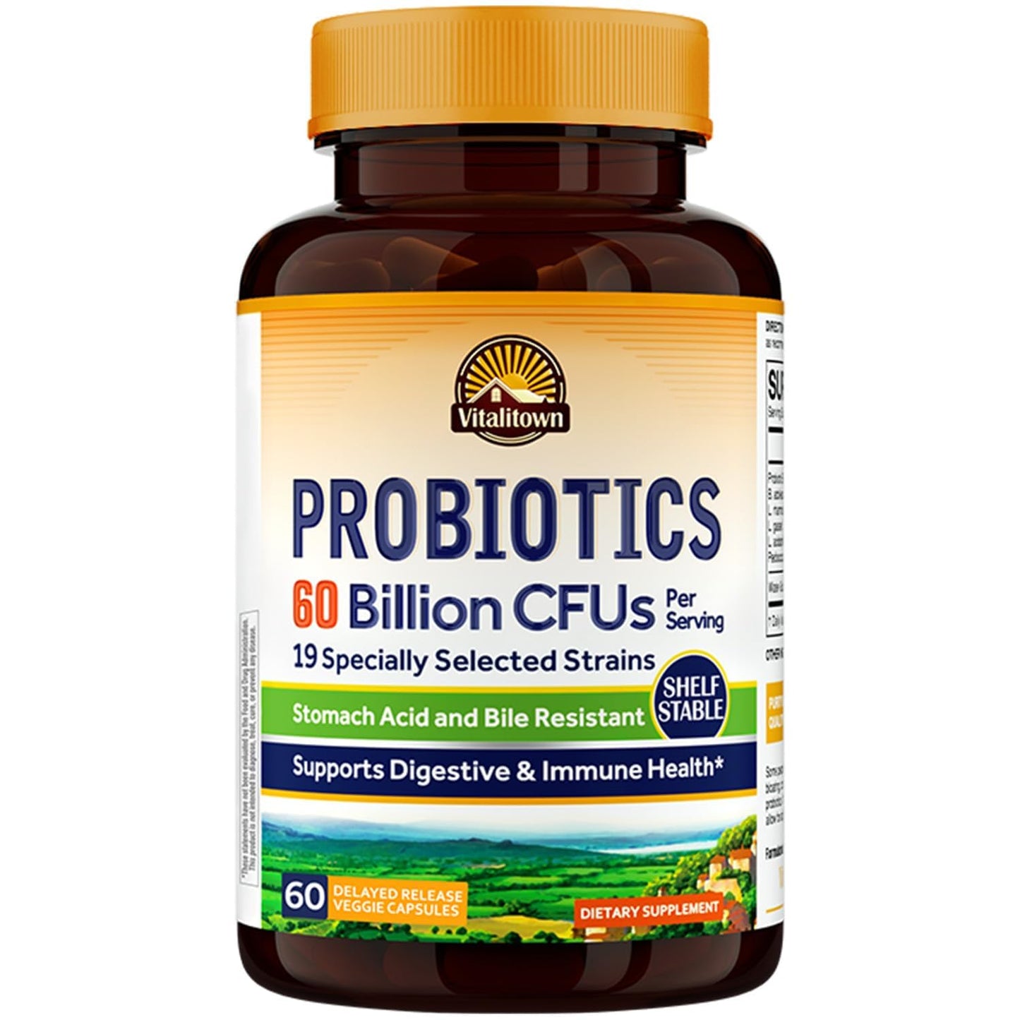 Vitalitown Probiotics + Prebiotics | 60 Billion CFUs 19 Strains | 60 Delayed Release Veg Caps | Shelf Stable, Prebiotics and Probiotics | Digestive Health - dailyvitalstore