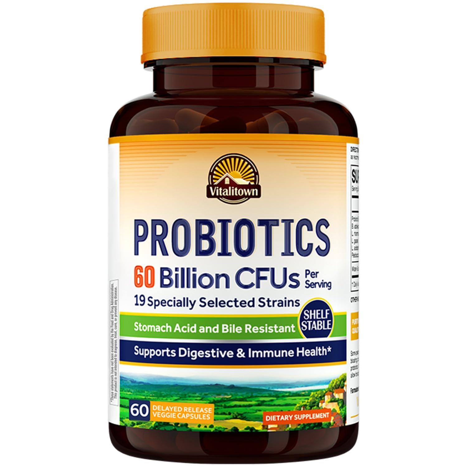 Vitalitown Probiotics + Prebiotics | 60 Billion CFUs 19 Strains | 60 Delayed Release Veg Caps | Shelf Stable, Prebiotics and Probiotics | Digestive Health - dailyvitalstore