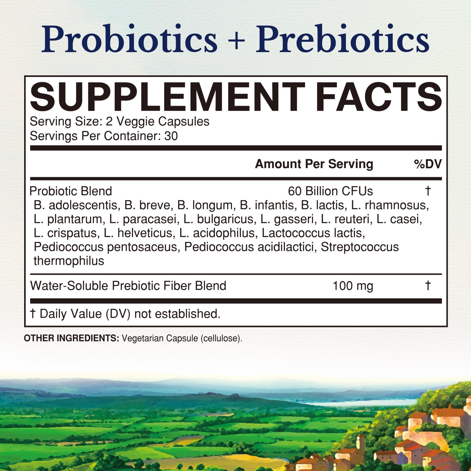 Vitalitown Probiotics + Prebiotics | 60 Billion CFUs 19 Strains | 60 Delayed Release Veg Caps | Shelf Stable, Prebiotics and Probiotics | Digestive Health - dailyvitalstore