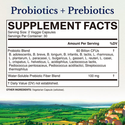 Vitalitown Probiotics + Prebiotics | 60 Billion CFUs 19 Strains | 60 Delayed Release Veg Caps | Shelf Stable, Prebiotics and Probiotics | Digestive Health - dailyvitalstore