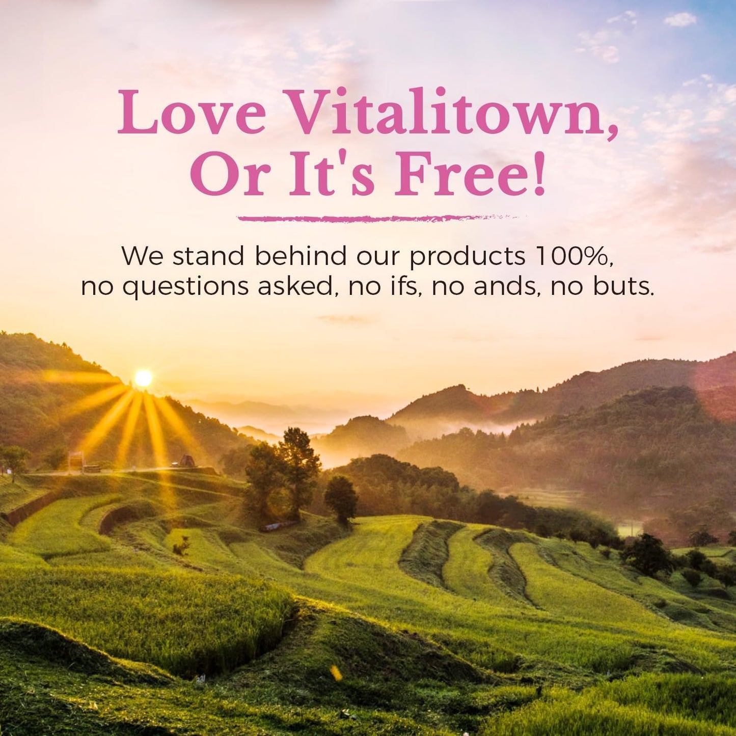 Vitalitown Women's Probiotics | 100 Billion CFUs 18 Strains | Prebiotics, VC & B6, Cranberry | Shelf Stable | Vaginal, Urinary - dailyvitalstore