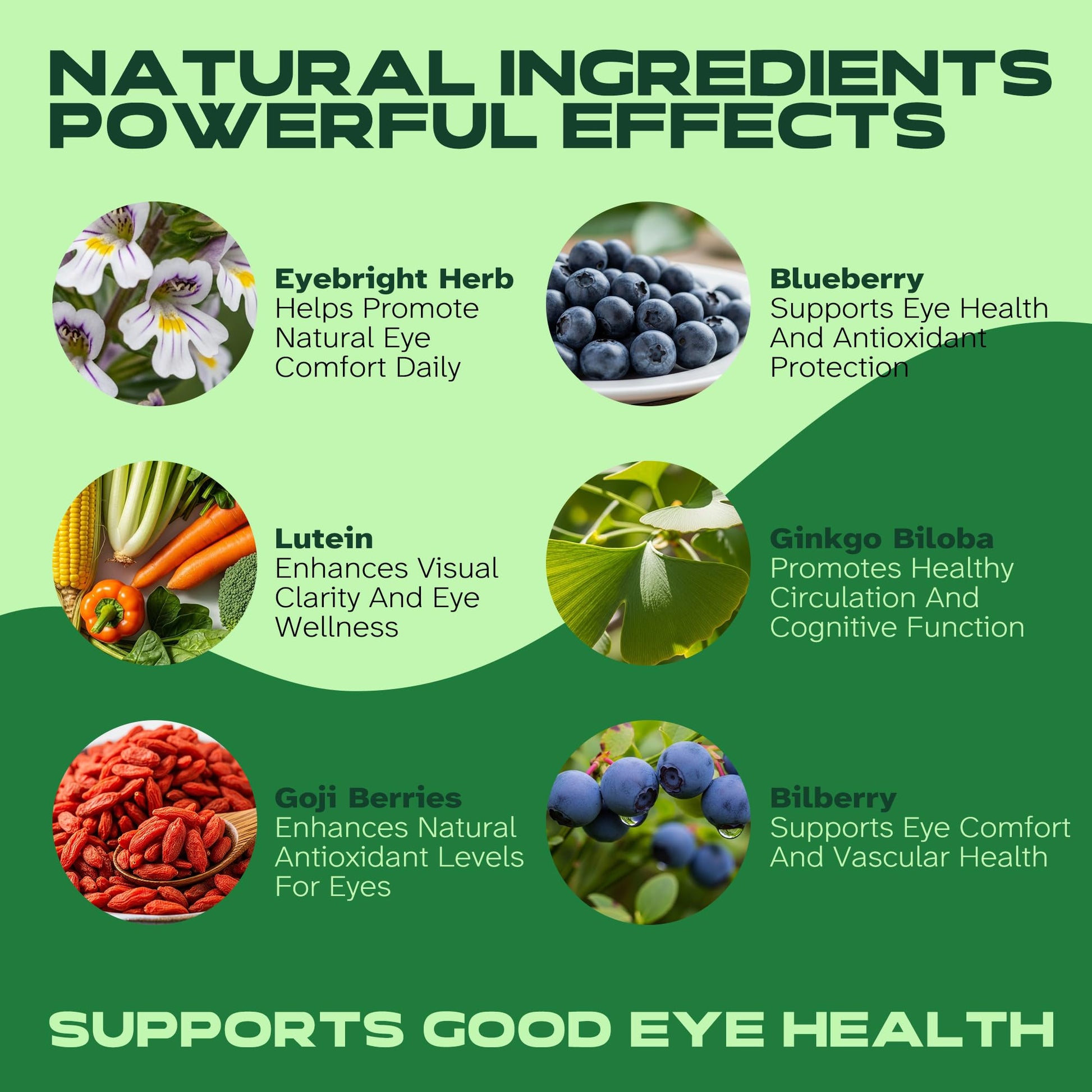 Vitalumina Eyebright Herbal Liquid with Organic Euphrasia, Lutein, Bilberry, Blueberry & Goji – Plant-Based Vegan Supplement for Adults – 4 fl oz - dailyvitalstore