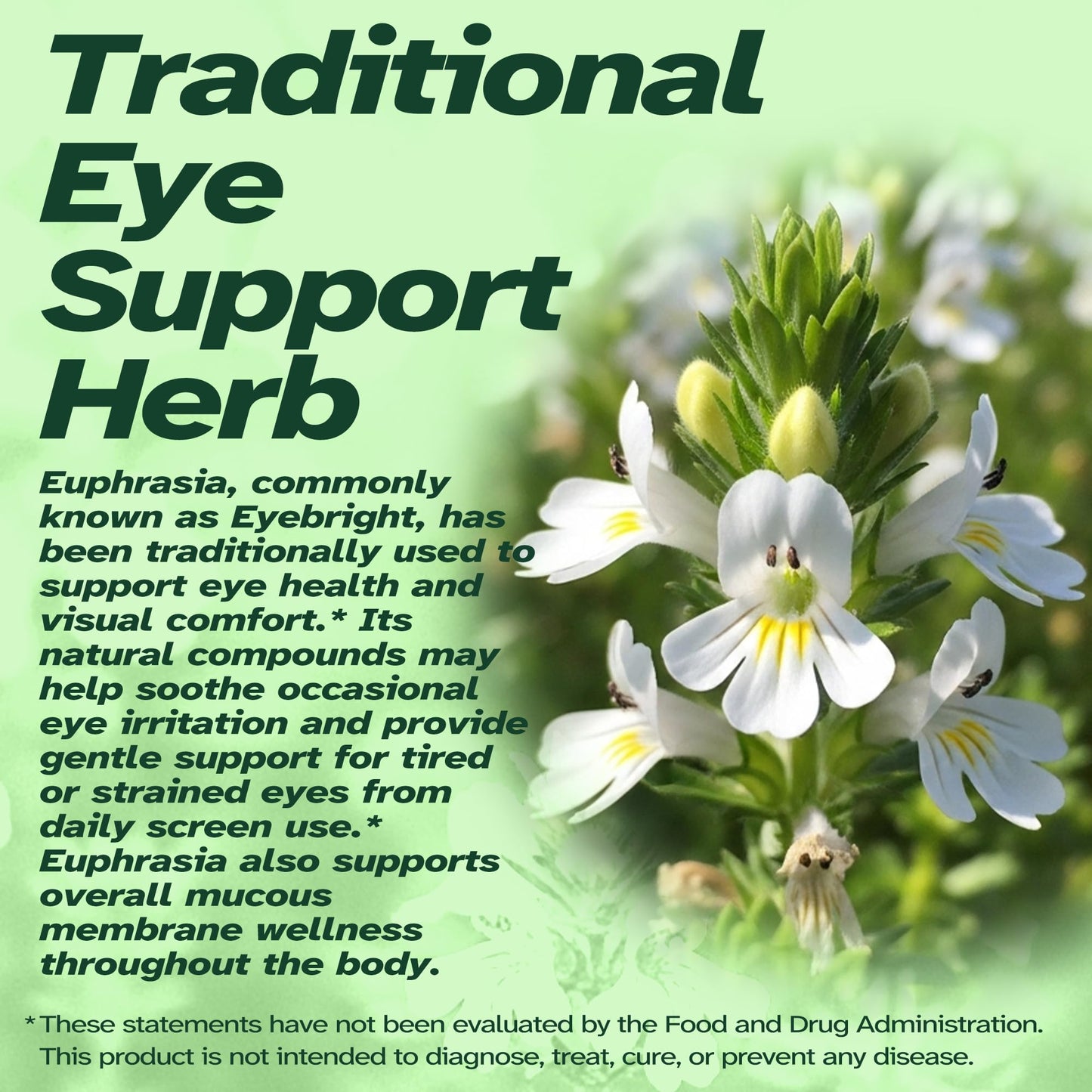 Vitalumina Eyebright Herbal Liquid with Organic Euphrasia, Lutein, Bilberry, Blueberry & Goji – Plant-Based Vegan Supplement for Adults – 4 fl oz - dailyvitalstore