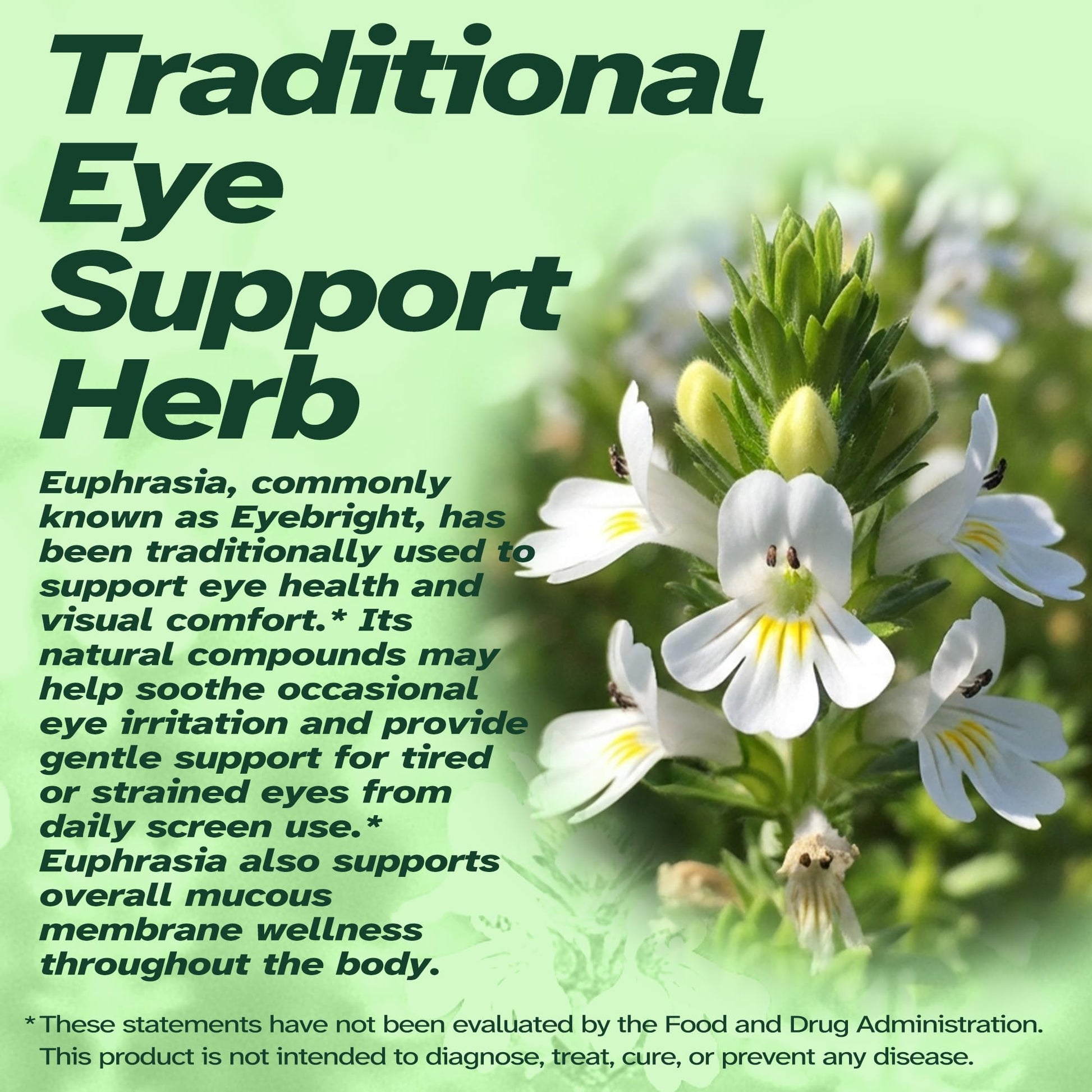 Vitalumina Eyebright Herbal Liquid with Organic Euphrasia, Lutein, Bilberry, Blueberry & Goji – Plant-Based Vegan Supplement for Adults – 4 fl oz - dailyvitalstore
