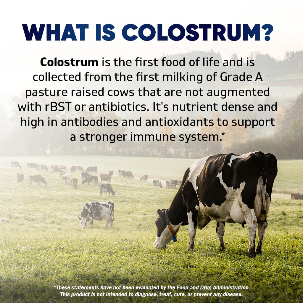 Vitamatic Bovine Colostrum 30% IgG Supplement 1500 mg per Serving - Supplement for Gut Health, Hair Growth, Beauty, Muscle Recovery, & Immune Support - 180 Veg Capsules - dailyvitalstore