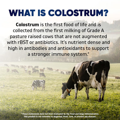 Vitamatic Bovine Colostrum 30% IgG Supplement 1500 mg per Serving - Supplement for Gut Health, Hair Growth, Beauty, Muscle Recovery, & Immune Support - 180 Veg Capsules - dailyvitalstore
