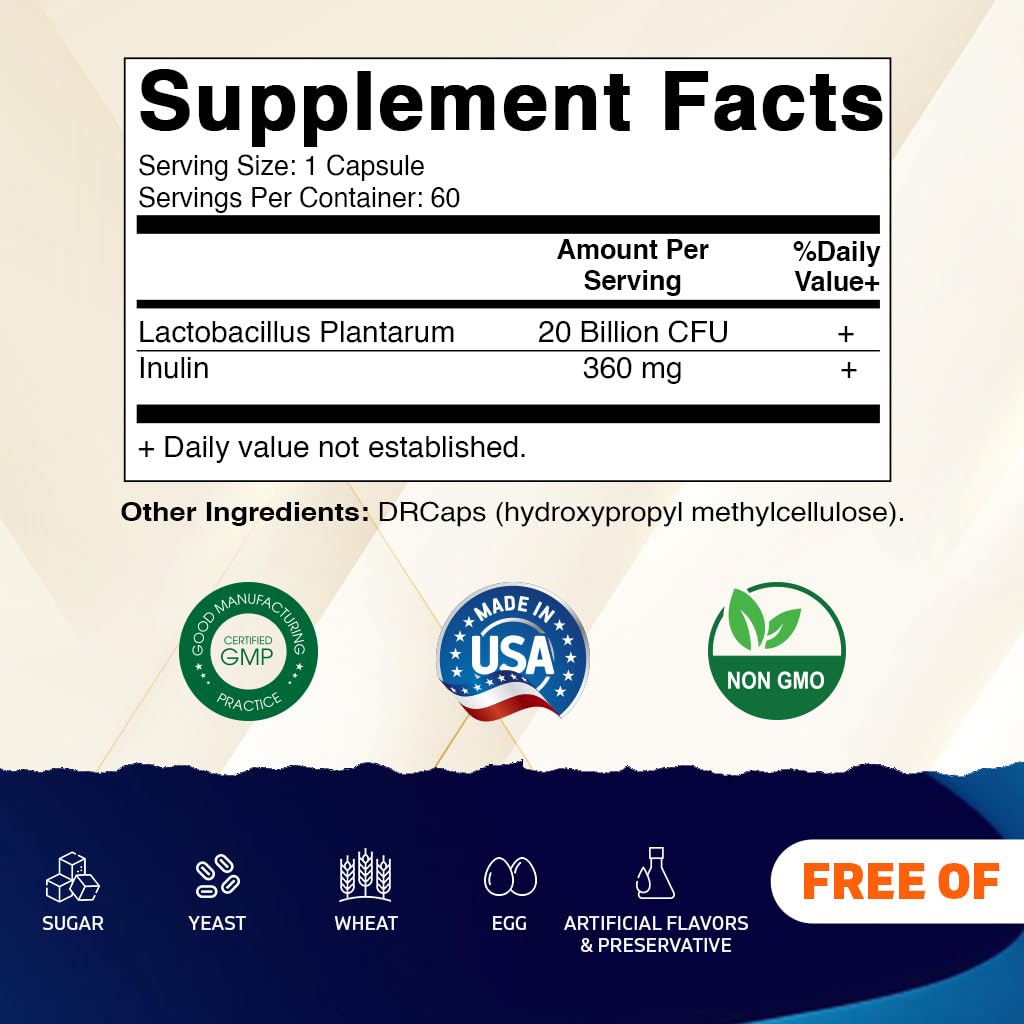 Vitamatic Lactobacillus Plantarum - 20 Billion per DR Capsule - 60 Count - Digestive Support - Made with Prebiotic Inulin Fiber - dailyvitalstore