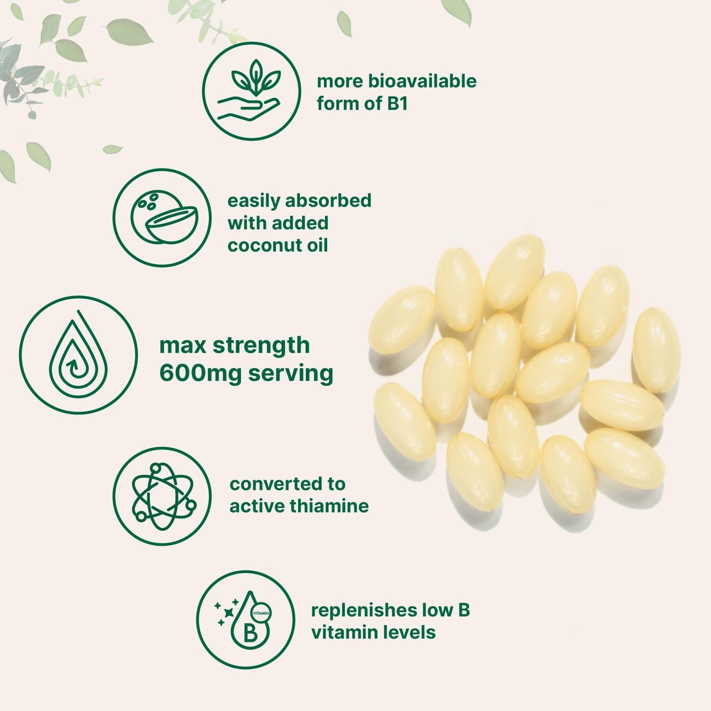 Vitamin B1 Benfotiamine 600mg Per Serving, 240 Coconut Oil Softgels | Bioavailable B Vitamins Supplement, Converted to Active Thiamine | Non-GMO, Soy Free - dailyvitalstore
