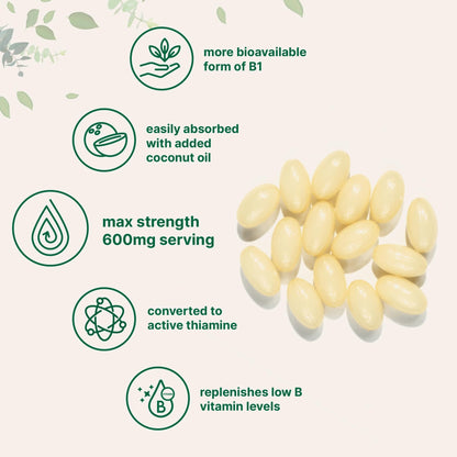 Vitamin B1 Benfotiamine 600mg Per Serving, 240 Coconut Oil Softgels | Bioavailable B Vitamins Supplement, Converted to Active Thiamine | Non-GMO, Soy Free - dailyvitalstore