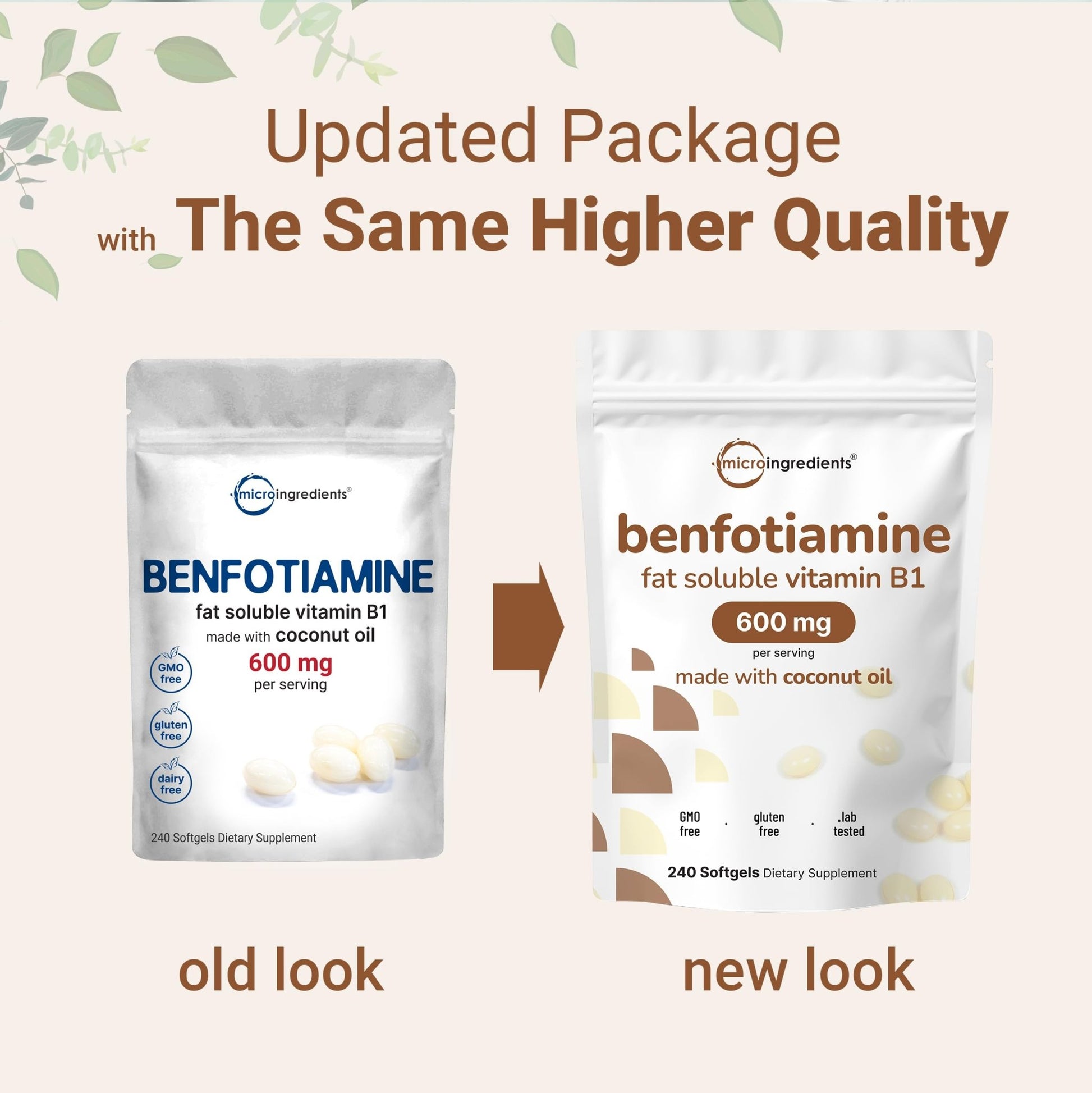 Vitamin B1 Benfotiamine 600mg Per Serving, 240 Coconut Oil Softgels | Bioavailable B Vitamins Supplement, Converted to Active Thiamine | Non-GMO, Soy Free - dailyvitalstore