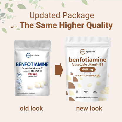 Vitamin B1 Benfotiamine 600mg Per Serving, 240 Coconut Oil Softgels | Bioavailable B Vitamins Supplement, Converted to Active Thiamine | Non-GMO, Soy Free - dailyvitalstore