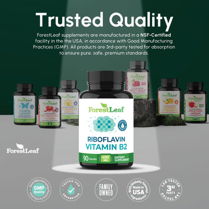 Vitamin B2 Riboflavin 400mg - Energy, Skin & Cellular Health Supplement - Nervous System Support - Vitamin B 2 Vit B - Non-GMO & Gluten Free - B2 Vitamin 400mg - dailyvitalstore