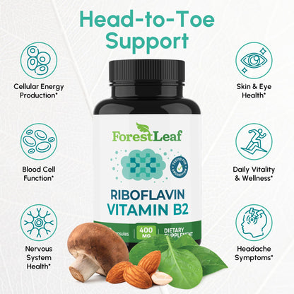 Vitamin B2 Riboflavin 400mg - Energy, Skin & Cellular Health Supplement - Nervous System Support - Vitamin B 2 Vit B - Non-GMO & Gluten Free - B2 Vitamin 400mg - dailyvitalstore