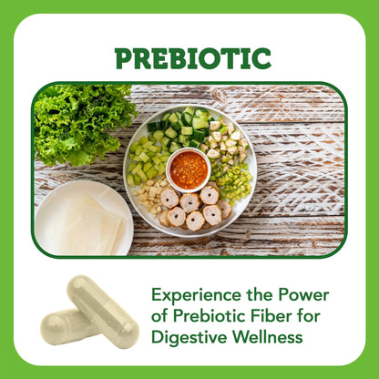 Vitamin Bounty Prebiotic Capsules - PreforPro® Prebiotics Supplement for Women & Men Digestive Health & Advanced Gut Health – No Fiber, No Bloating - dailyvitalstore