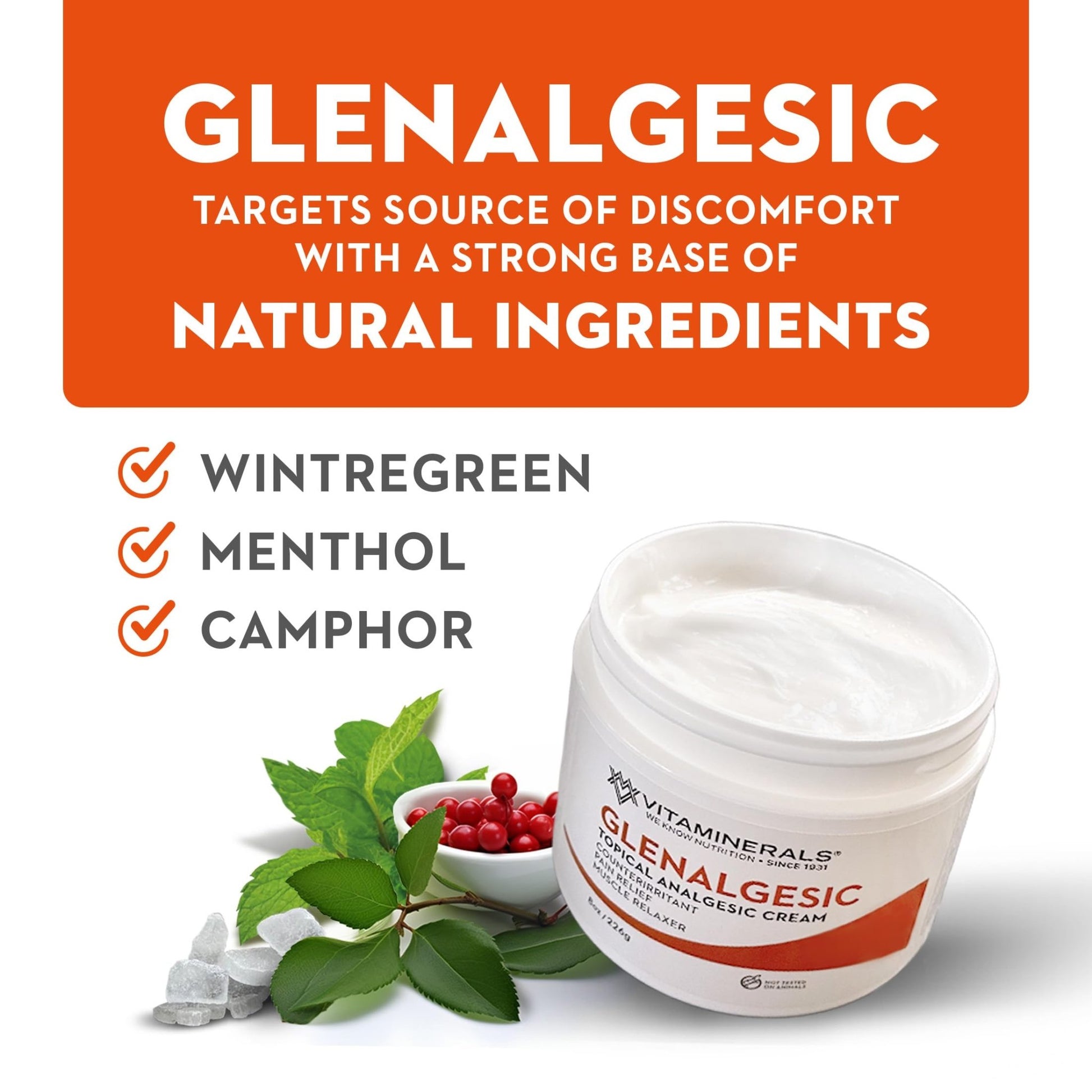 Vitaminerals 171 Glenalgesic® Pain Support Analgesic Balm, Muscle & Joint | Maximum Strength | Menthol | Camphor (8 oz) - dailyvitalstore