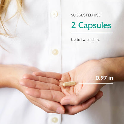 Vitanica, GABA Ease, Calming Support, Vegan, 60 Capsules - dailyvitalstore