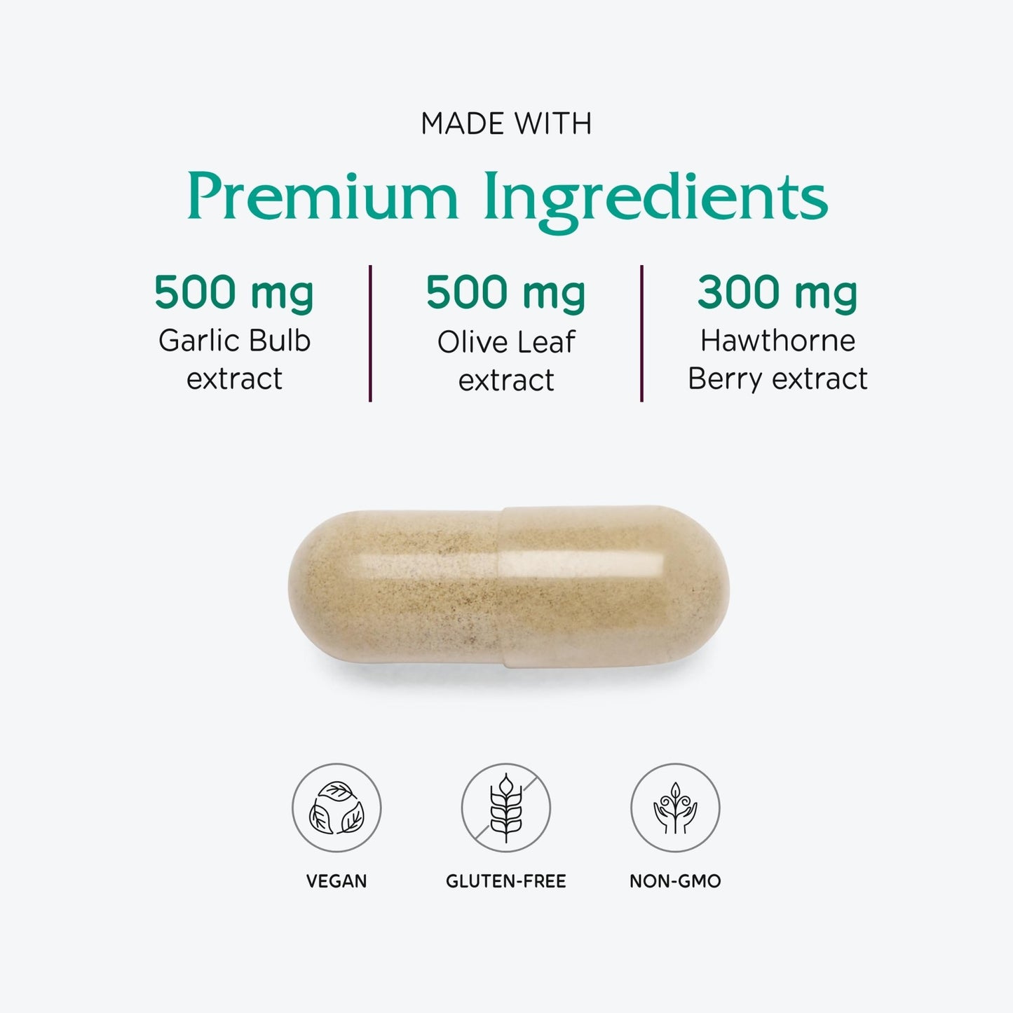 Vitanica VasoBlend - Heart Health Supplement with Folic Acid, Magnesium, CoQ10 & Terminalia Arjuna Bark - Heart Health Supplement - Consumer Line - 90 Vegan Caps - dailyvitalstore