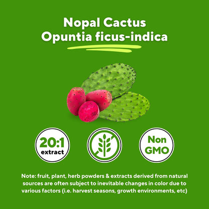 Vitapia Nopal Cactus Extract for Antioxidant, Skin, Metabolism, Wellness, Heart Health Support - 120 Veggie Capsules - Non GMO, Gluten Free Supplement - dailyvitalstore