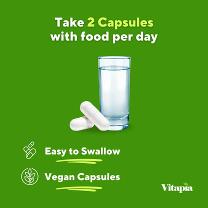 Vitapia Nopal Cactus Extract for Antioxidant, Skin, Metabolism, Wellness, Heart Health Support - 120 Veggie Capsules - Non GMO, Gluten Free Supplement - dailyvitalstore