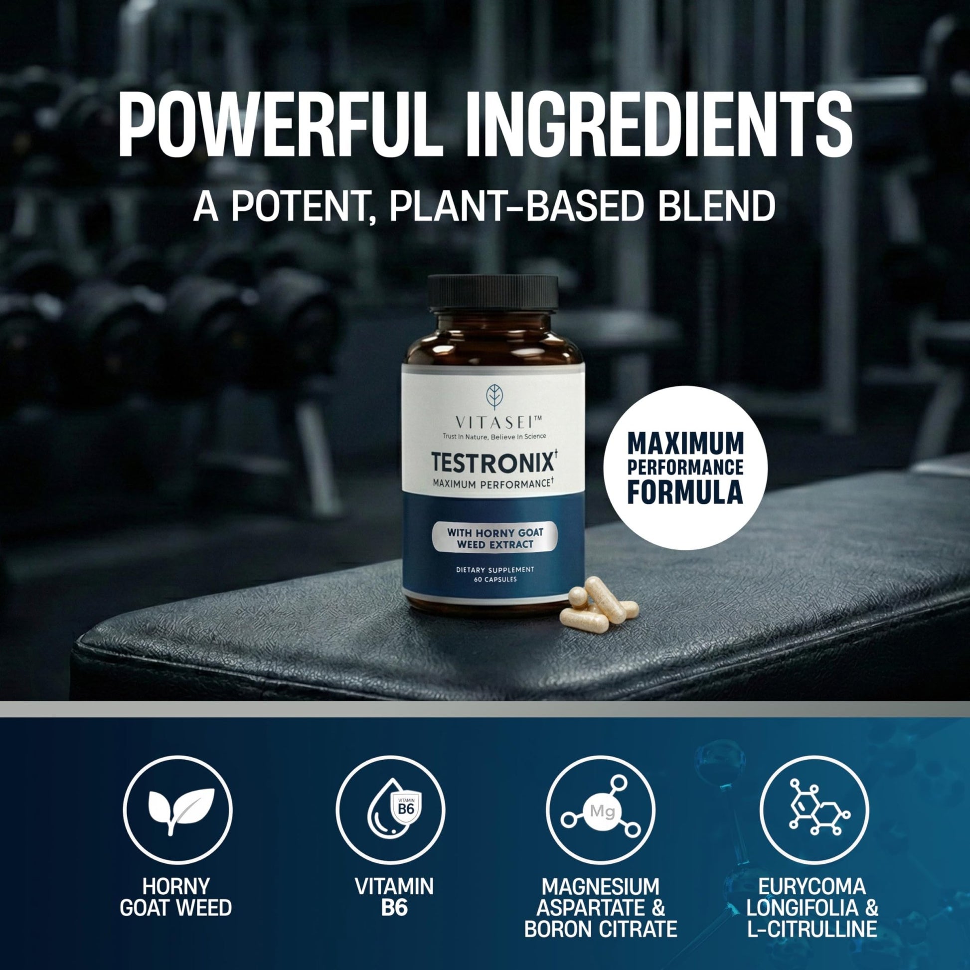 VITASEI Testronix Performance Supplement for Men - Energy and Muscle Supplements for Mens Health - 60 Capsules (Pack of 2) - dailyvitalstore