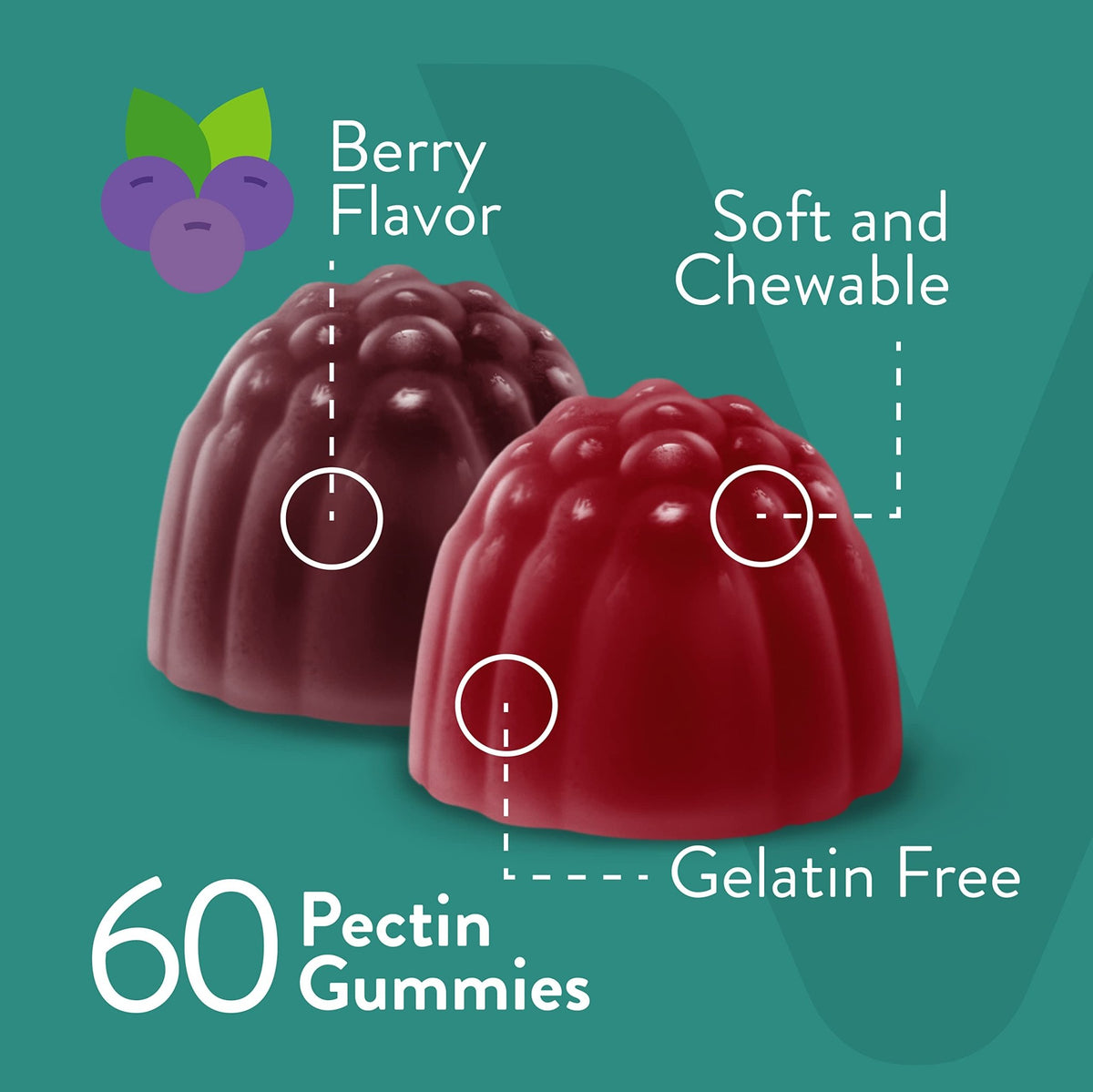 Viteey Probiotic Gummies with Prebiotics – Gut Health Supplements for Digestive Health – 2 Billion CFUs – Vegan, Gluten-Free – 60 Count - dailyvitalstore