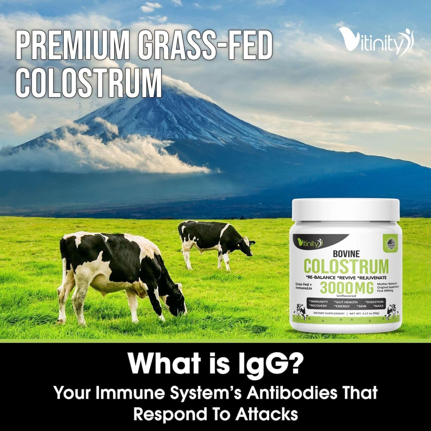 VITINITY Grass Fed Bovine Colostrum Powder for Humans 3000 mg - Natural IgG Colostrum Supplement Gut Health, Immune Support, Muscle Recovery, Wellness | Pure Colostrum Superfood,Unflavored 2 Pack - dailyvitalstore