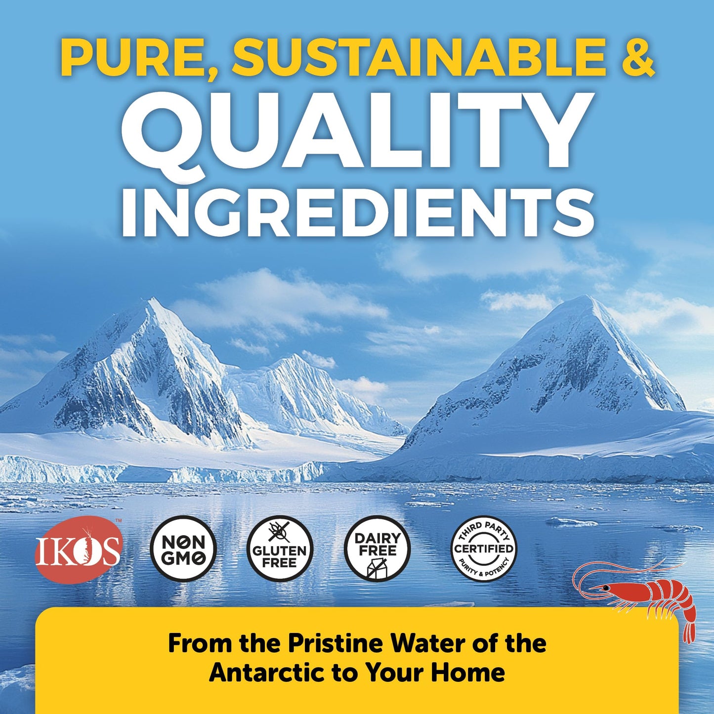 Viva Naturals Antarctic Krill Oil Omega 3 Supplements 1250 mg - DHA EPA Omega-3 & Astaxanthin Concentration for Joint Health, - dailyvitalstore