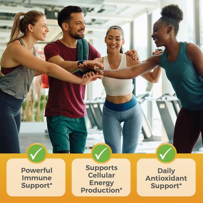 Viva Naturals Vitamin C and Zinc Supplement (250 Capsules) - 1000 mg Vitamin C with Zinc 20 mg Antioxidant Supplements for Immune Support, Vitamin Supplement for Adults - dailyvitalstore