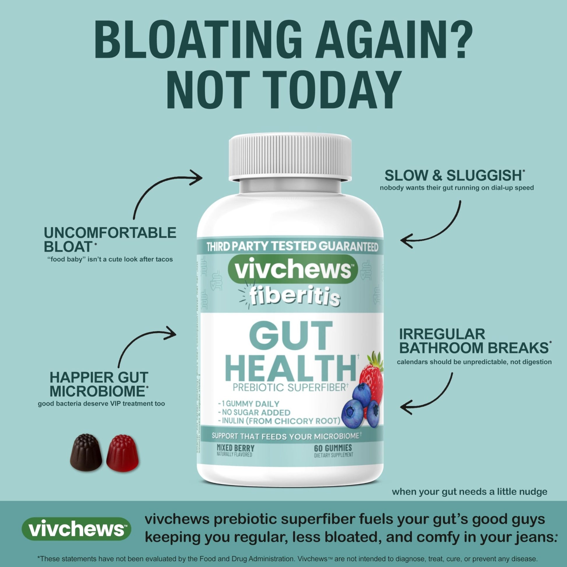 vivchews Gut Health Gummies – Prebiotic Fiber for Bloating Relief, No Sugar Added, Non-GMO, Fruit Pectin Based, Gluten-Free, No Artificial Colors, - dailyvitalstore