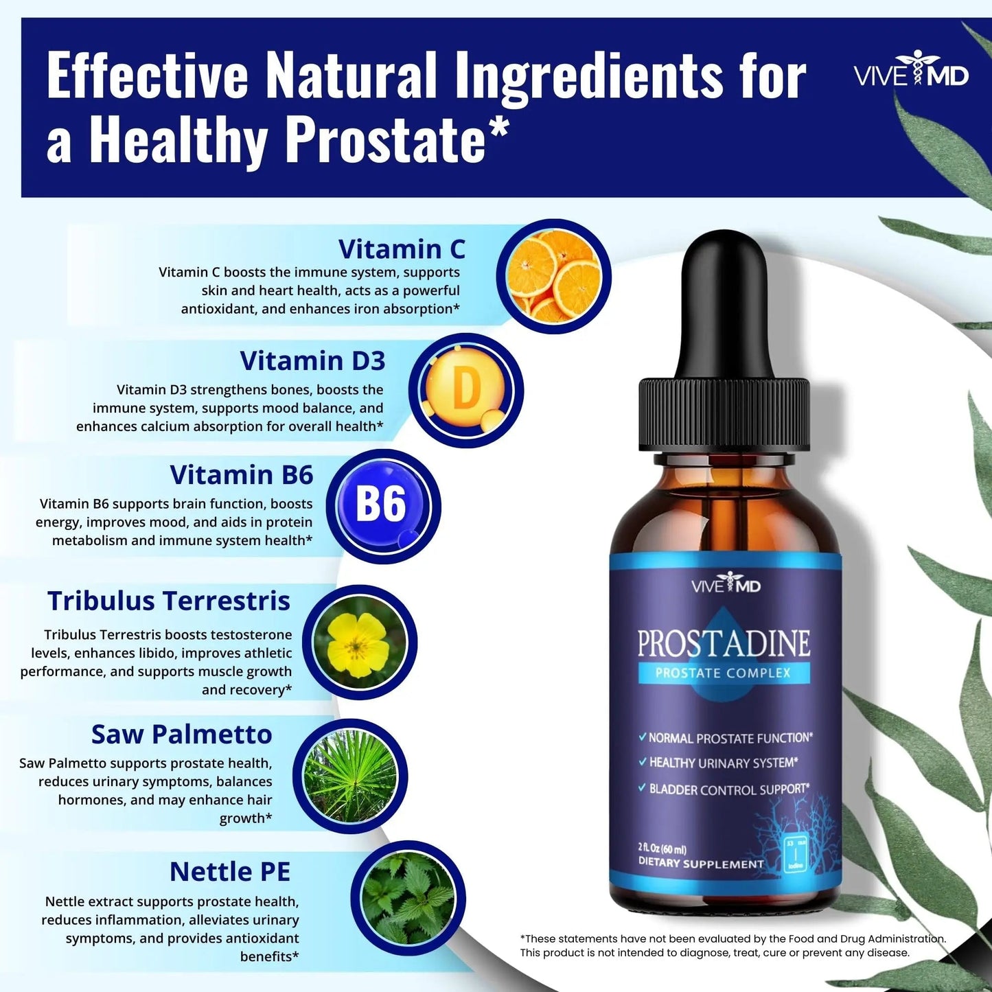 VIVE MD Prostadine Drops for Prostate Health, Bladder Urinating Issues - Prostadine Official Drop Formula - Extra Strength with Pomegranate, Prostadine Reviews (Package of 5) - dailyvitalstore