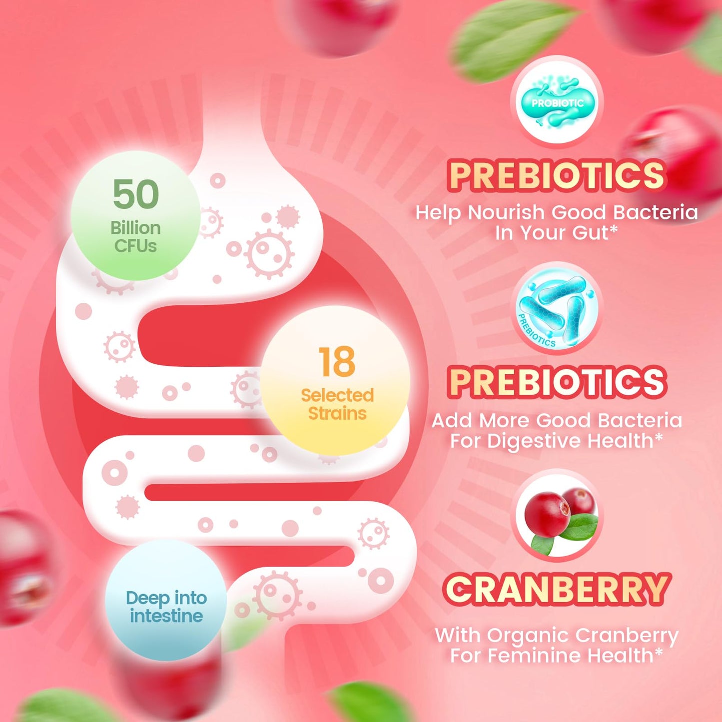 VivoNu Viginal Probiotics for Women, Women Probiotic Gummies, Feminine Balance Gummies, Prebiotic Gummy, Cranberry Probiotics for Woman Vaginigal Health, Yeast Ph Balance| 60 Gummies - dailyvitalstore
