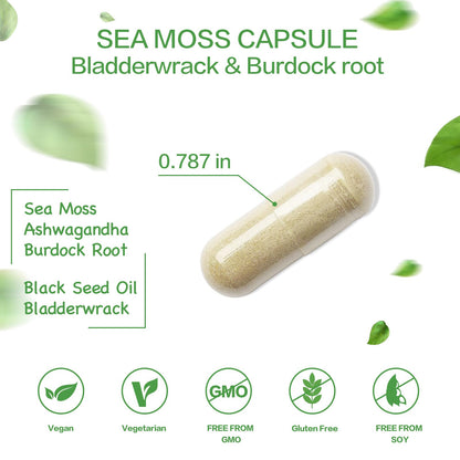VPKIN Organic Sea Moss Capsules with Bladderwrack,Burdock Root and Black Pepper Extract-Irish SeaMoss Pills 2000mg-Promotes Immune System,Thyroid Support(120 Capsules) - dailyvitalstore