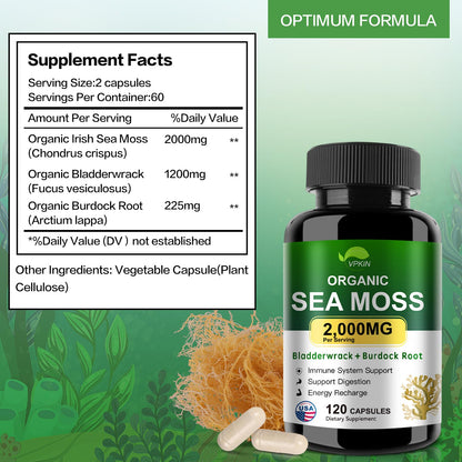 VPKIN Organic Sea Moss Capsules with Bladderwrack,Burdock Root and Black Pepper Extract-Irish SeaMoss Pills 2000mg-Promotes Immune System,Thyroid Support(120 Capsules) - dailyvitalstore