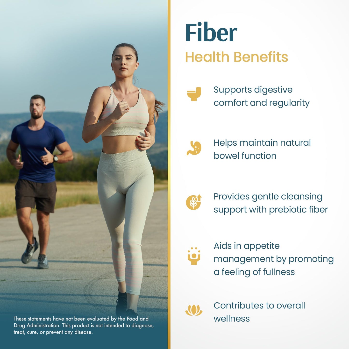 Vykee Nutrition Advanced Fiber Complex – Psyllium Husk, Aloe Vera, Chia & Flax Seed | Vegan, Non-GMO | Supports Digestive Health, Regularity & Gut Wellness | 180 Capsules - dailyvitalstore