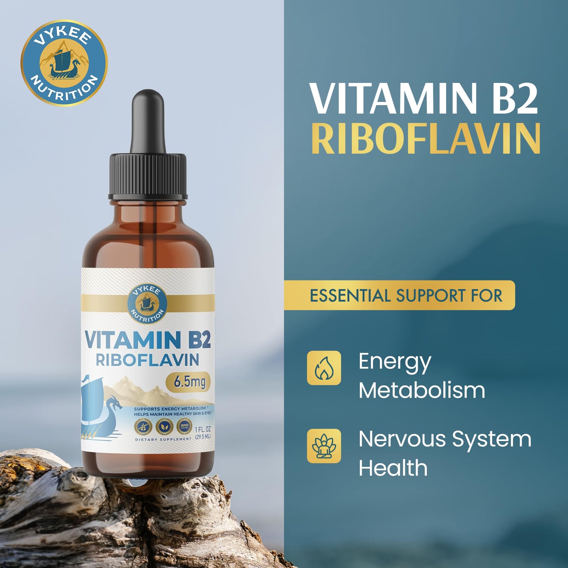 Vykee Nutrition Vitamin B2 Riboflavin Drops - Liquid B2 Supplement for Energy Metabolism, Cellular Function and Vision Support - Vegan, Non-GMO, Gluten-Free - dailyvitalstore