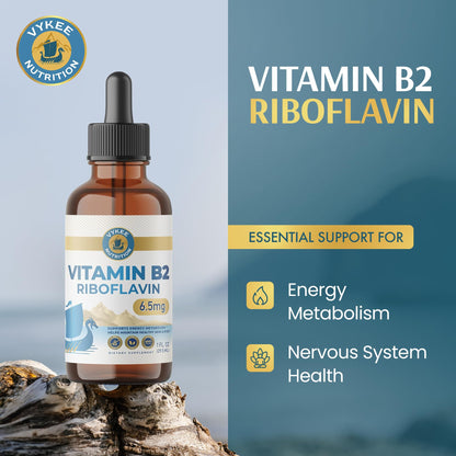 Vykee Nutrition Vitamin B2 Riboflavin Drops - Liquid B2 Supplement for Energy Metabolism, Cellular Function and Vision Support - Vegan, Non-GMO, Gluten-Free - dailyvitalstore